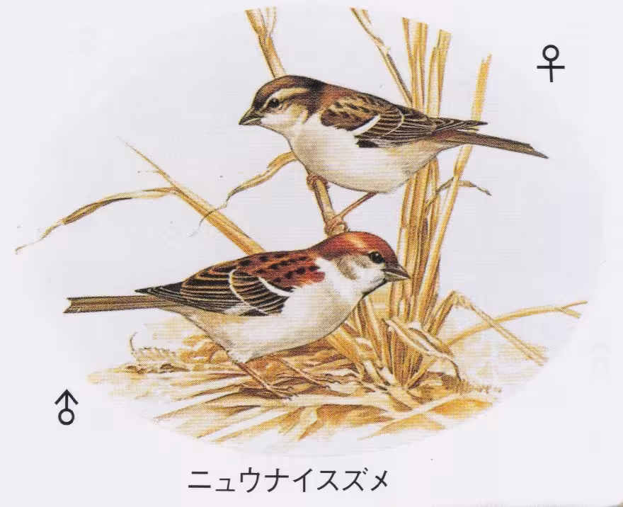 設問No.20の画像