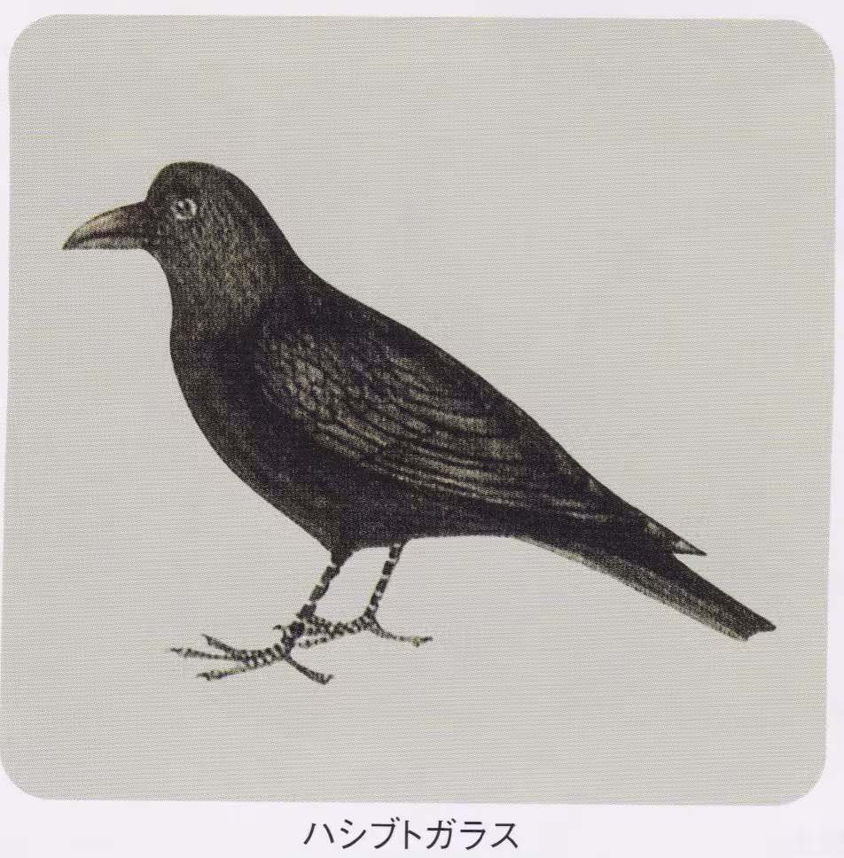 設問No.25の画像