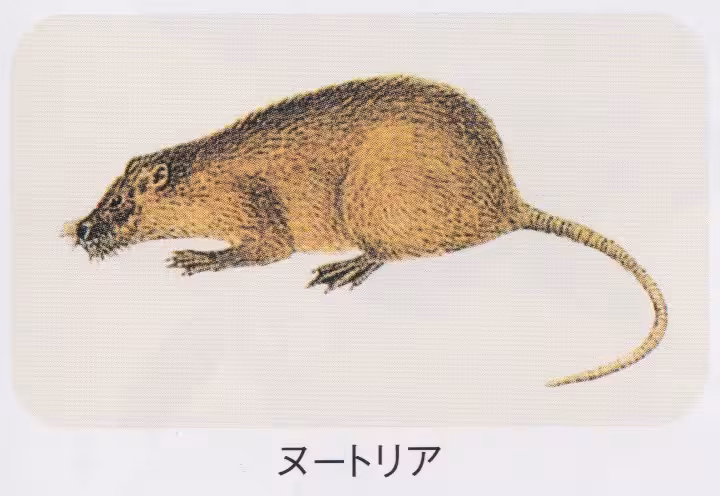 設問No.30の画像