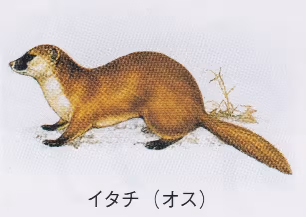 設問No.39の画像