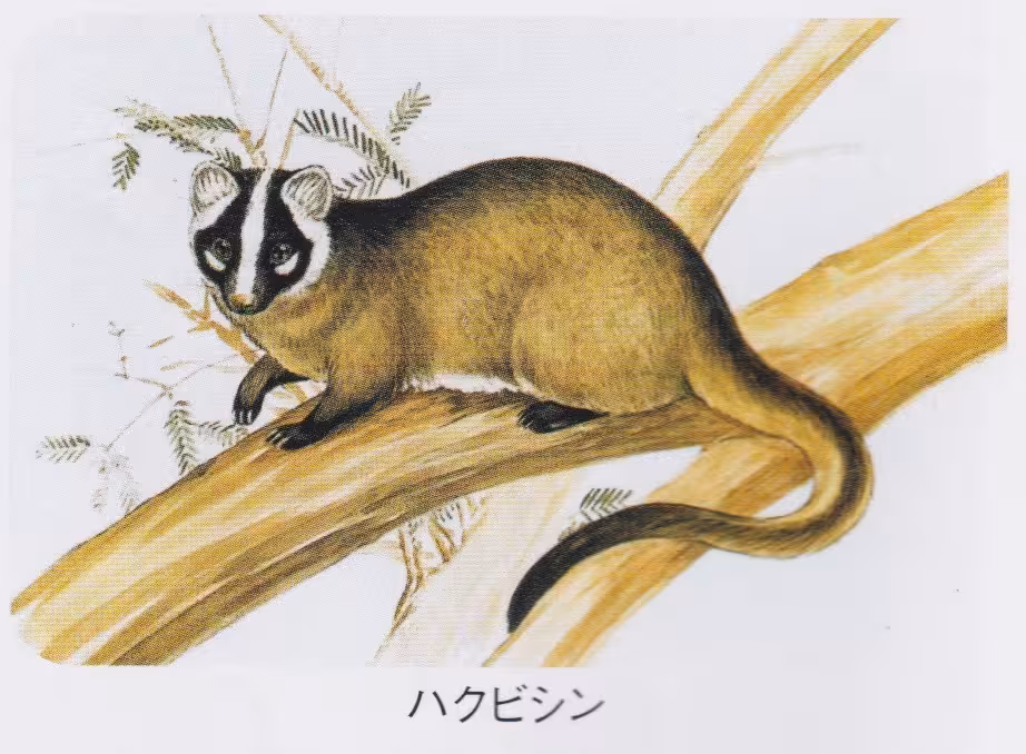 設問No.42の画像
