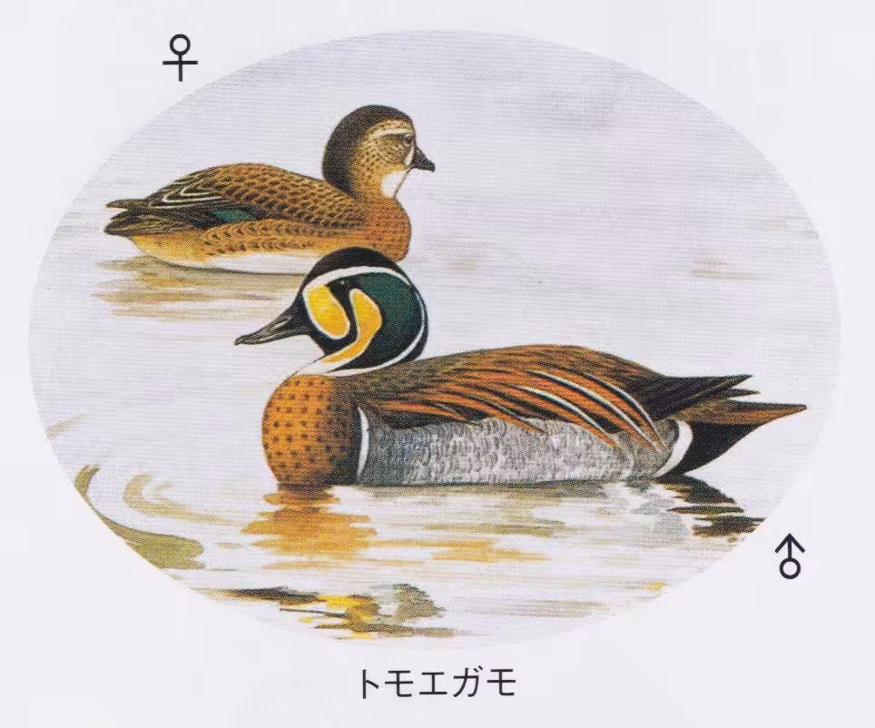 設問No.44の画像