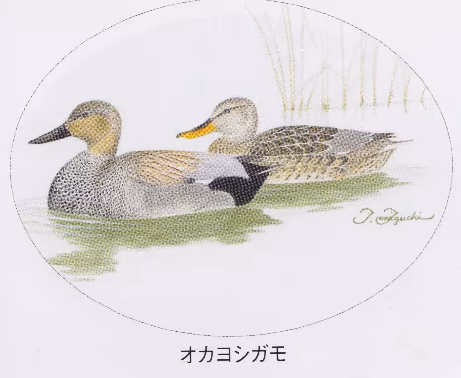 設問No.47の画像