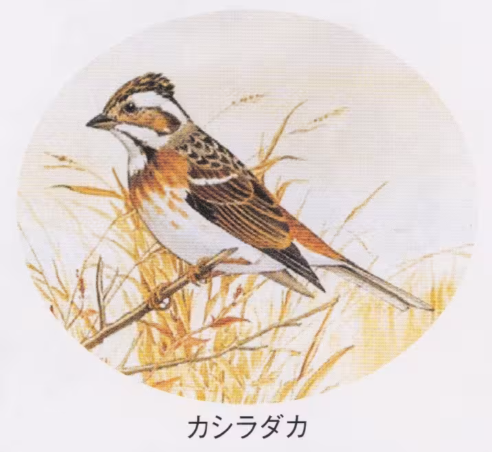 設問No.58の画像