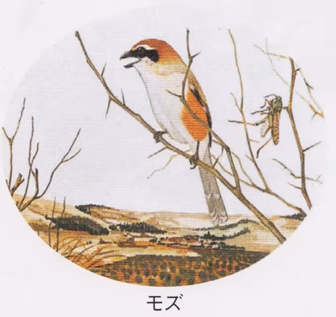 設問No.59の画像