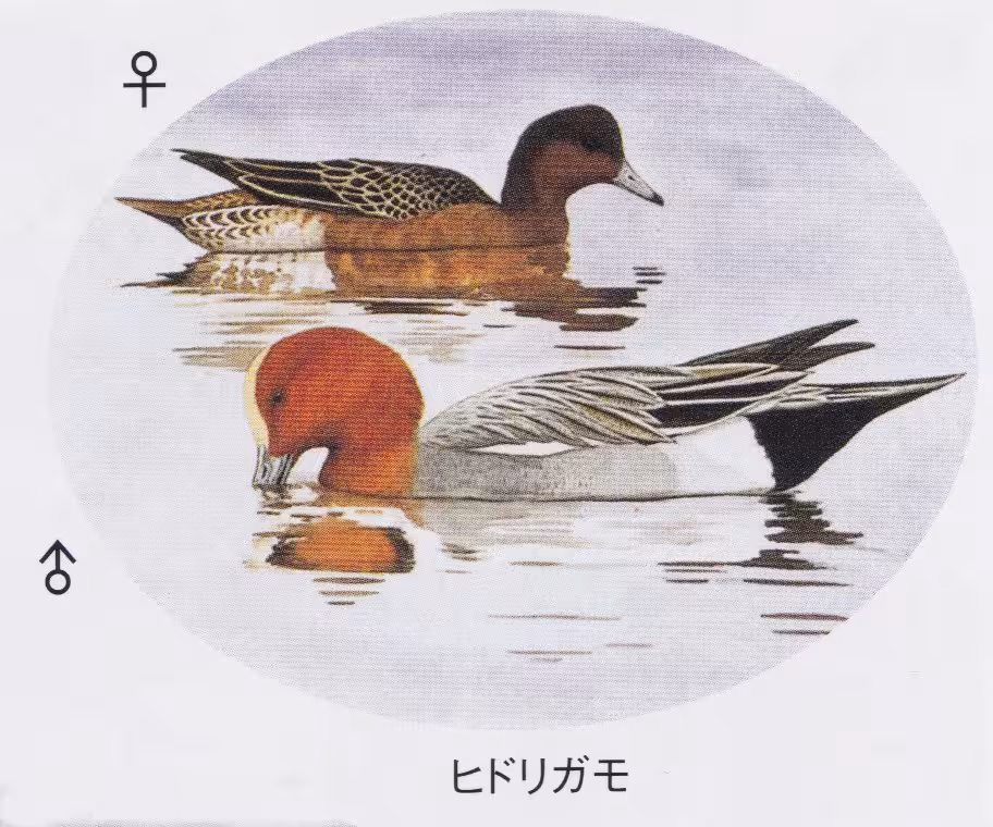 設問No.6の画像