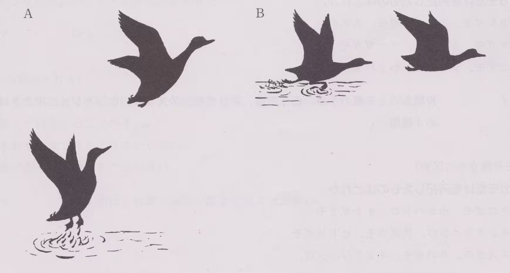 設問No.279の画像